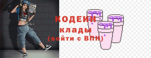 дживик Арсеньев