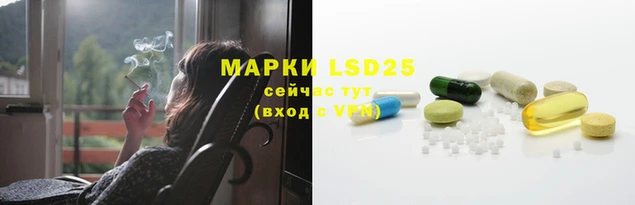 ПСИЛОЦИБИНОВЫЕ ГРИБЫ Аркадак