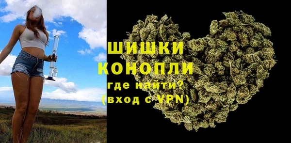 ПСИЛОЦИБИНОВЫЕ ГРИБЫ Аркадак