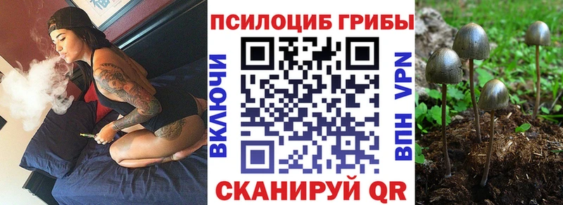 Галлюциногенные грибы Magic Shrooms  OMG онион  Южно-Сухокумск 